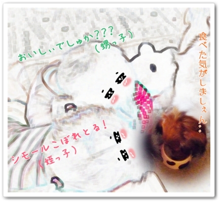 c0174773_1164980.jpg