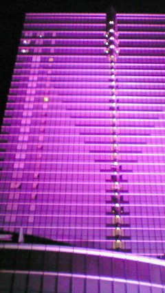 f0116278_1817163.jpg