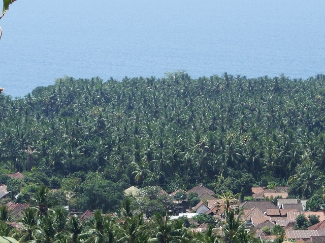 b0101284_22213371.jpg