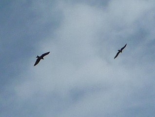 c0160488_16213089.jpg