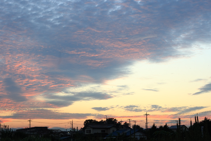 c0159490_638384.jpg