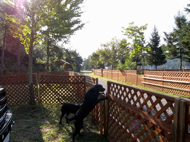 a0093592_037268.jpg