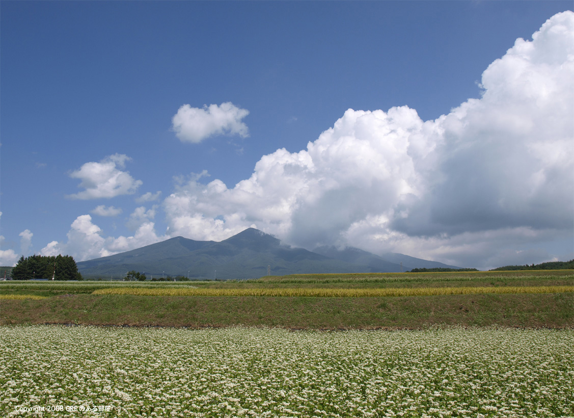 f0108399_9404060.jpg