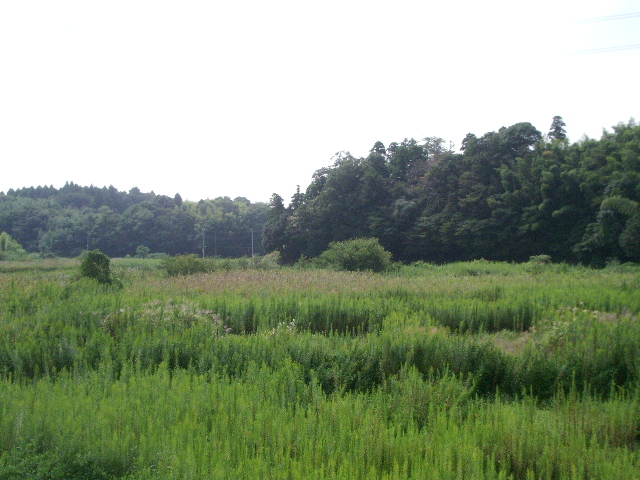 e0025300_1518185.jpg