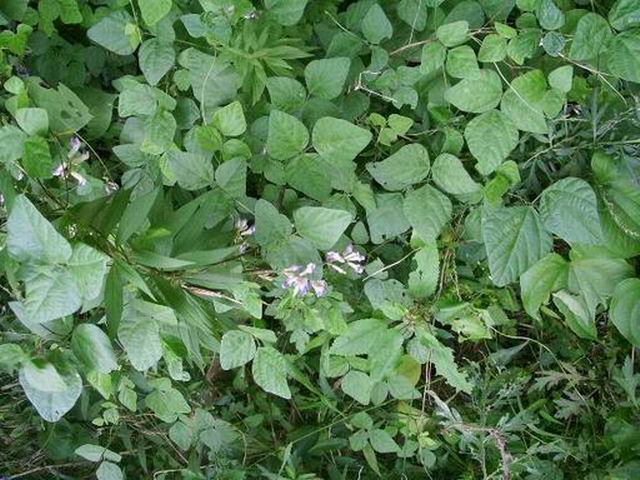 e0025300_15363758.jpg