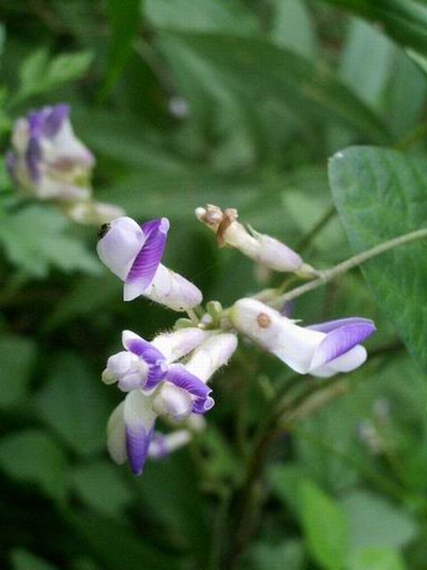 e0025300_1537241.jpg