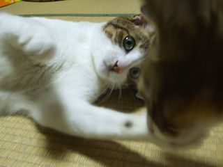 c0103205_2154331.jpg