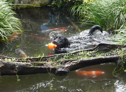 c0101713_2329580.jpg