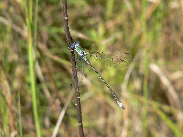 e0002314_23262017.jpg
