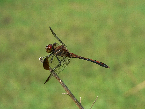 e0002314_23265660.jpg
