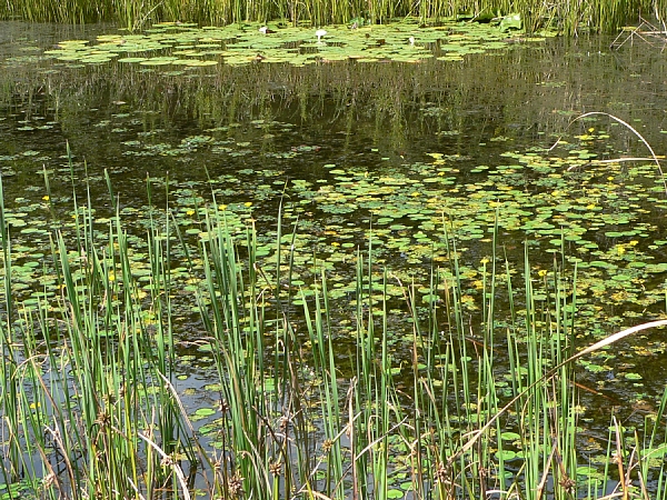 e0002314_23274344.jpg