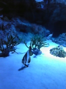c0149717_135233.jpg