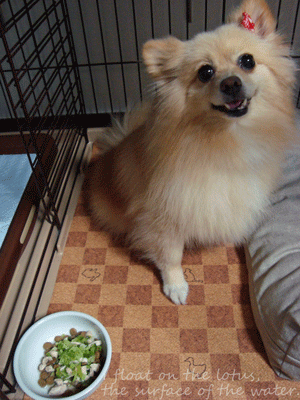 b0075318_21222820.gif