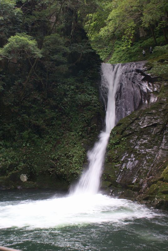 c0124021_20422221.jpg