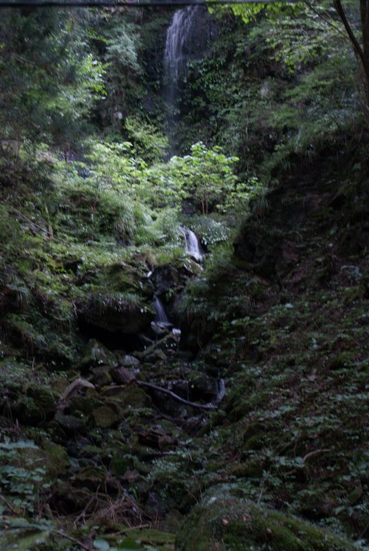 c0124021_20532198.jpg