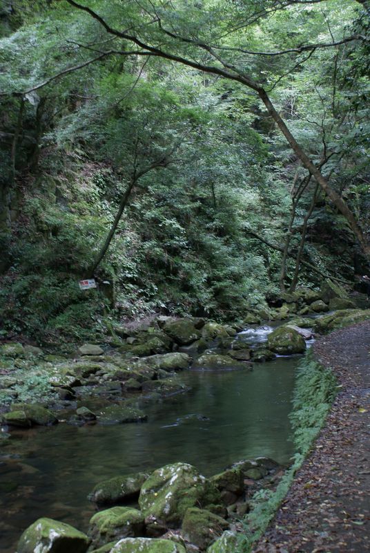 c0124021_2133326.jpg