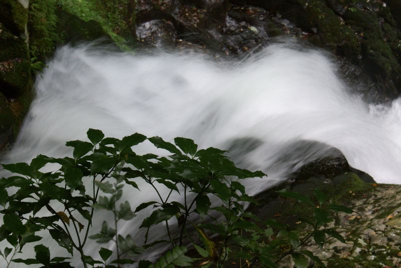 c0124021_21364663.jpg