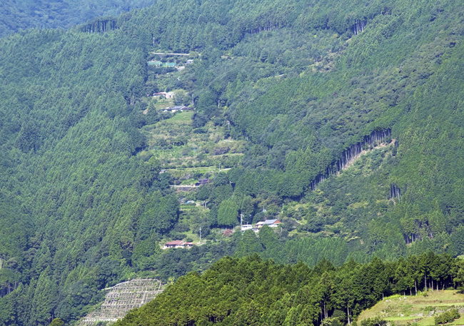 d0147530_6211584.jpg