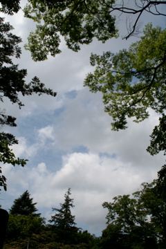 f0179947_8321737.jpg