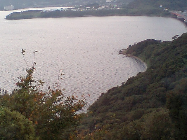 b0130652_13165616.jpg