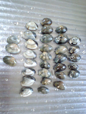 c0155853_1233143.jpg