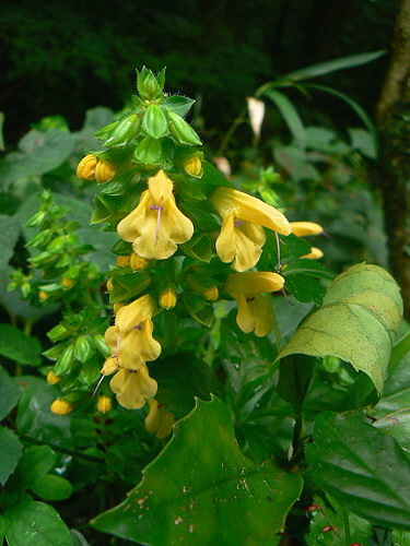 d0091754_1252837.jpg