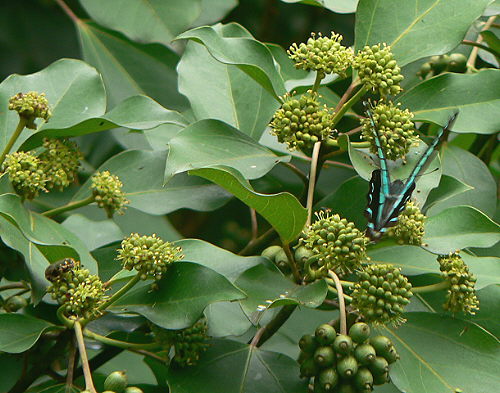 d0091754_283071.jpg