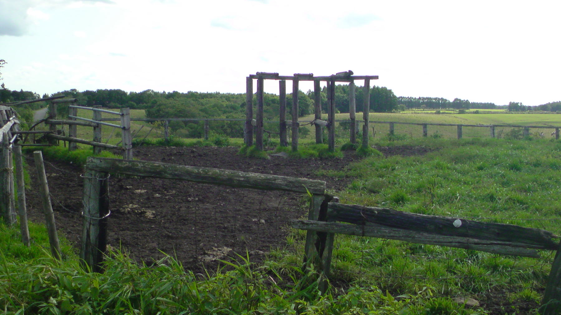 f0001254_1843713.jpg