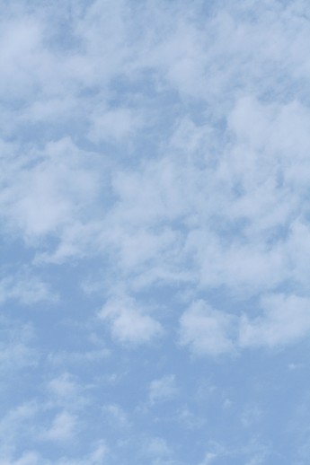 e0068962_1143581.jpg