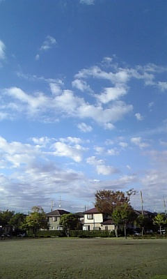 f0179563_905061.jpg