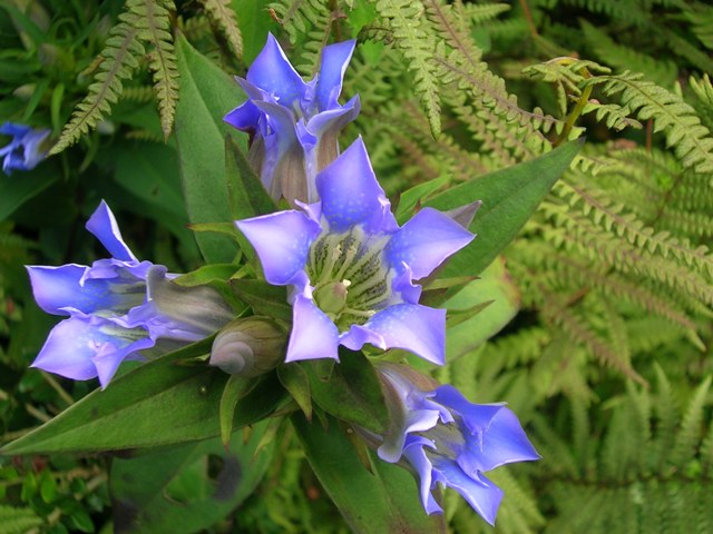 a0091666_21244711.jpg