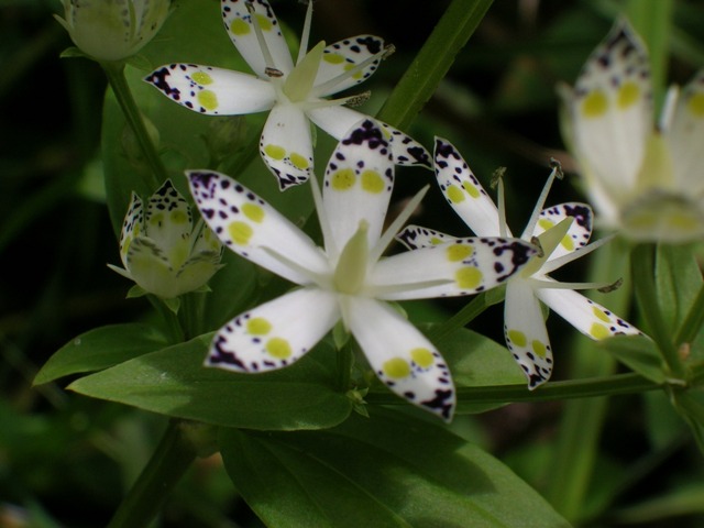 a0091666_2130217.jpg