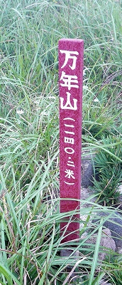 d0102968_10131199.jpg