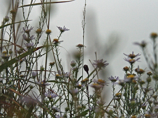 d0102968_10211220.jpg