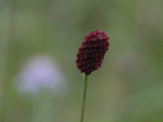 d0102968_10243949.jpg