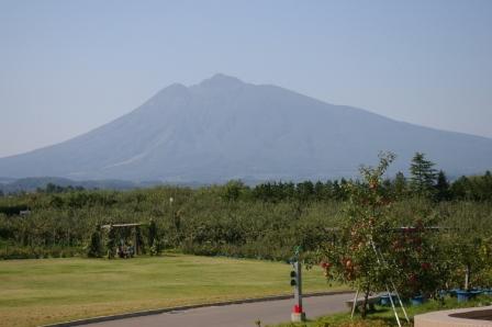 d0131668_1271157.jpg