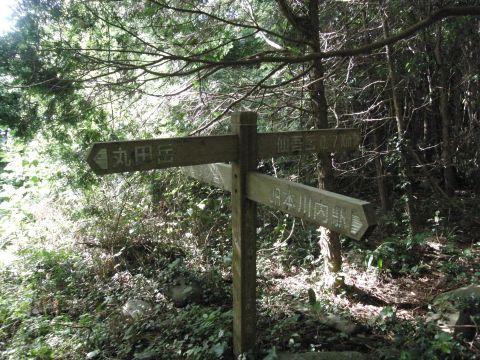 c0042869_2057221.jpg