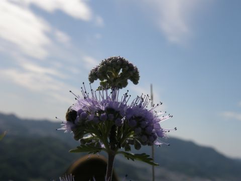 c0042869_20575062.jpg