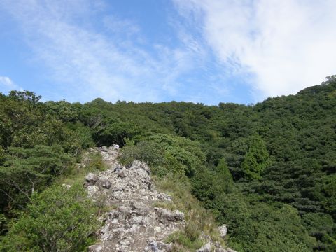 c0042869_20592225.jpg