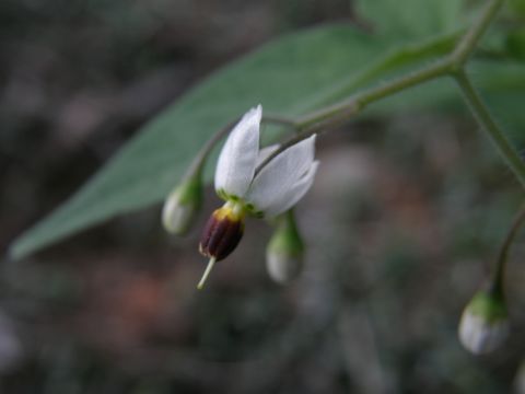 c0042869_21174.jpg
