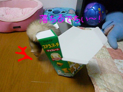 c0165472_23454479.jpg