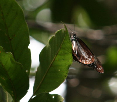 f0181173_1933697.jpg