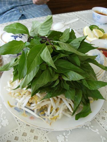 f0105276_1851582.jpg