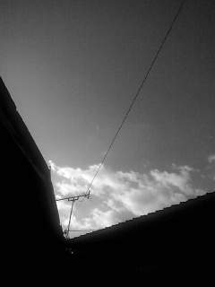 f0100480_17175933.jpg