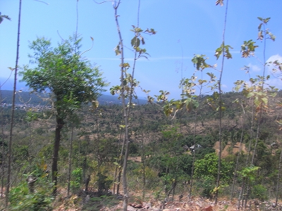 b0101284_19242536.jpg