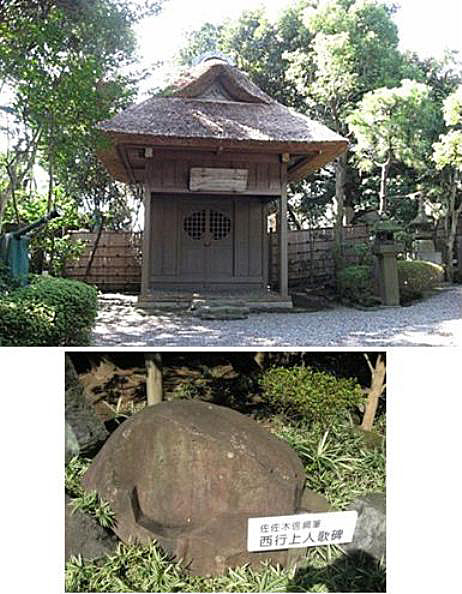e0143690_2051598.jpg
