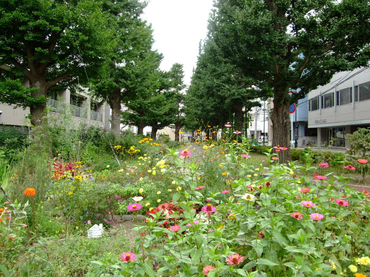 f0100593_18595059.jpg