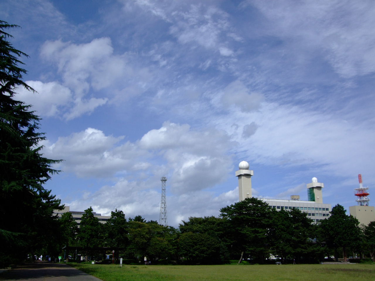 f0100593_1859647.jpg