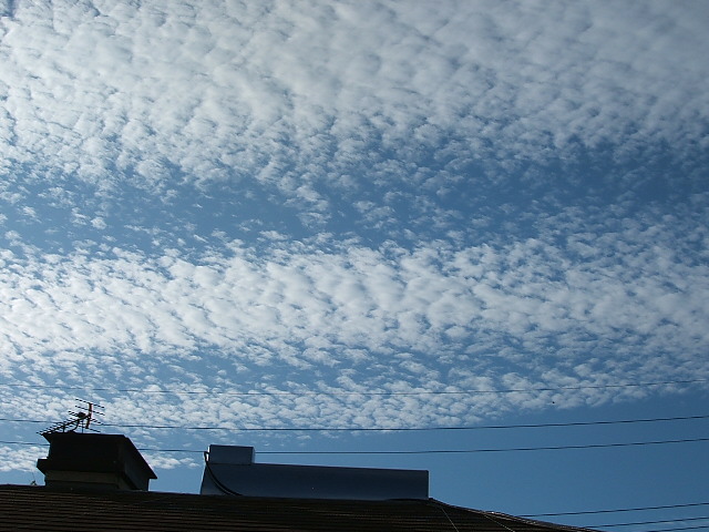 b0120396_16521078.jpg
