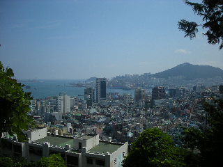 a0101503_2434125.jpg